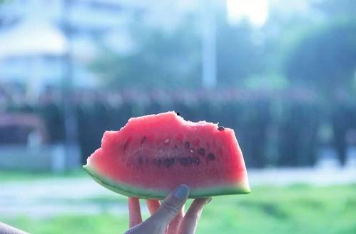 你吃鱼我吃瓜,共享美食时光