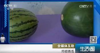 吃瓜不吐籽6,探寻网络流行语的魅力与内涵