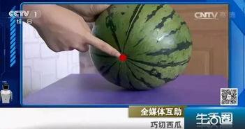 吃瓜不吐籽6,探寻网络流行语的魅力与内涵